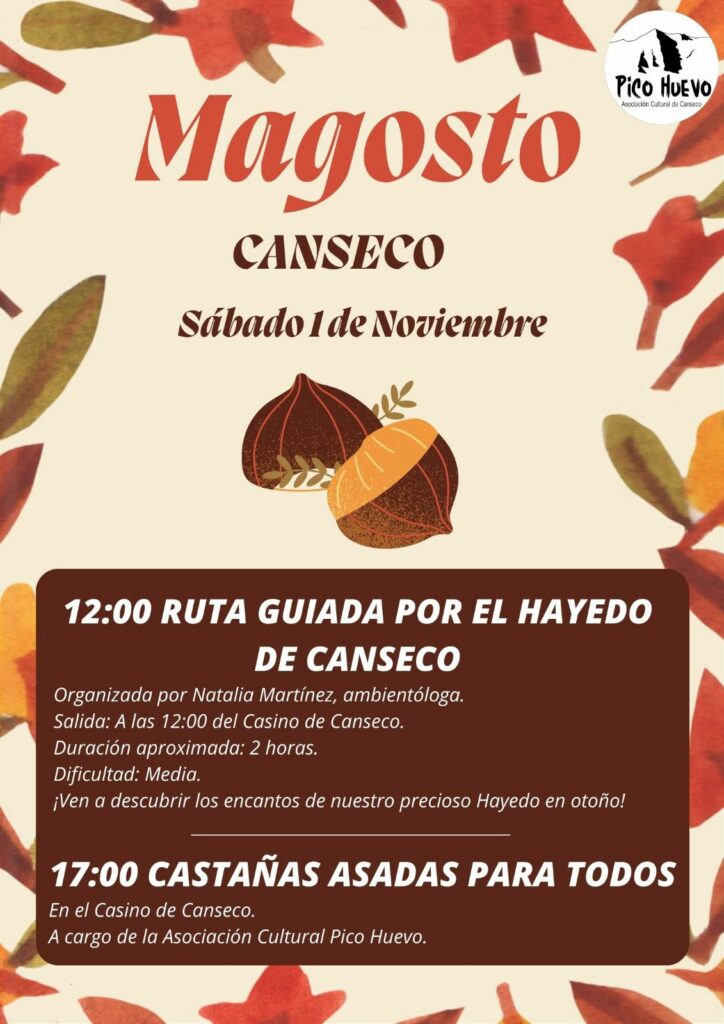 Magosto en Canseco Magosto en Canseco
